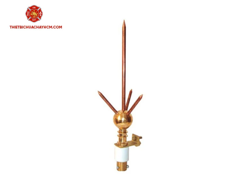 Kim thu sét - Đài loan